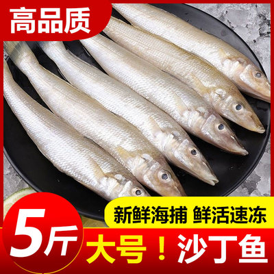 沙丁鱼深海鱼新鲜冷冻小银鱼鲜活海鲜水产烧烤食材面条鱼无小刺