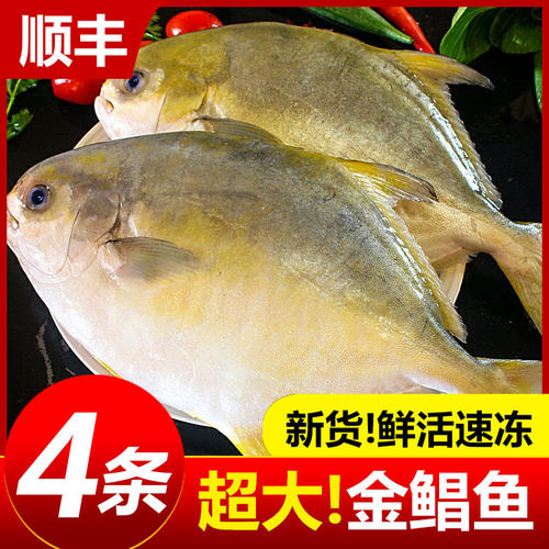 深海金鲳鱼4条装水产冷冻顺丰