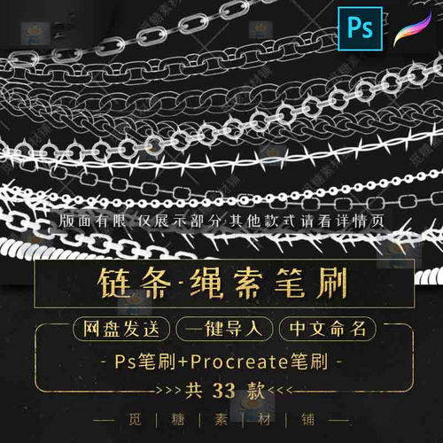 铁链铁丝网笔刷ps绳索procreate中文命名一键导入黑白装饰素材