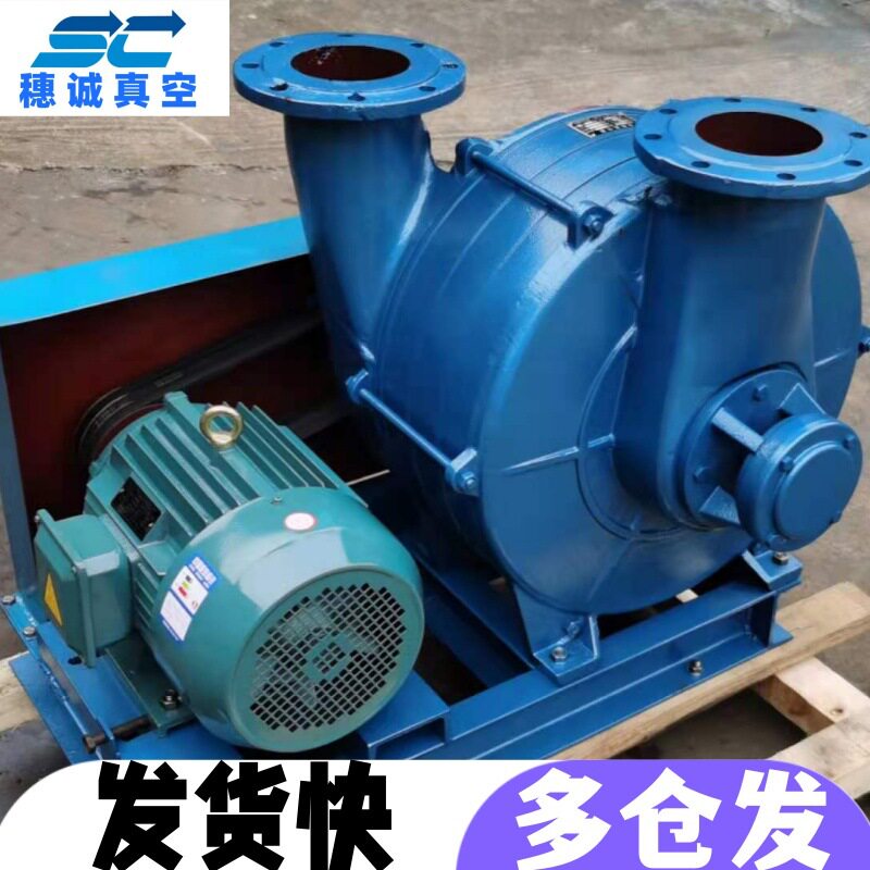重庆蒸汽熨烫抽湿真空泵  服装厂真空泵TLZ-9×5 穗诚现货 保修