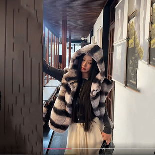 仿獭兔毛真龙猫大帽子马甲女2025新款高级感短款皮草外套毛毛马夹