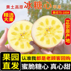 冰糖心大果 新鲜当季山西运城临猗丑苹果水果10斤整箱红富士平果