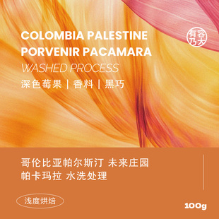 有容乃大哥伦比亚未来庄园25产季帕卡玛拉水洗浅焙单品手冲咖啡豆