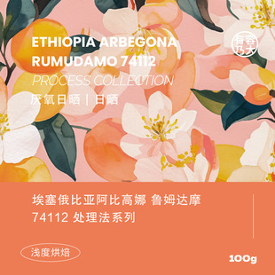 有容乃大25产季埃塞西达玛Rumudamo74112厌氧日晒单品手冲咖啡豆