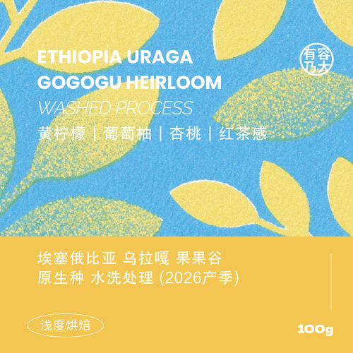 埃塞26产季gogogu水洗浅焙咖啡豆