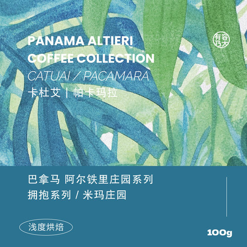 日晒/厌氧日晒手冲浅焙咖啡豆