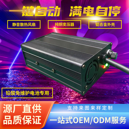48V电动车电瓶车铅酸电池充电器