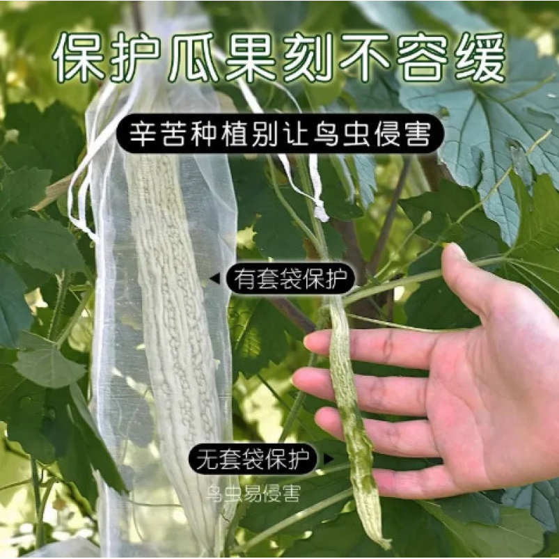 防虫鸟网套瓜果专用00