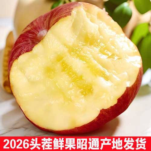 丑苹果冰糖心2026年新果云南昭通