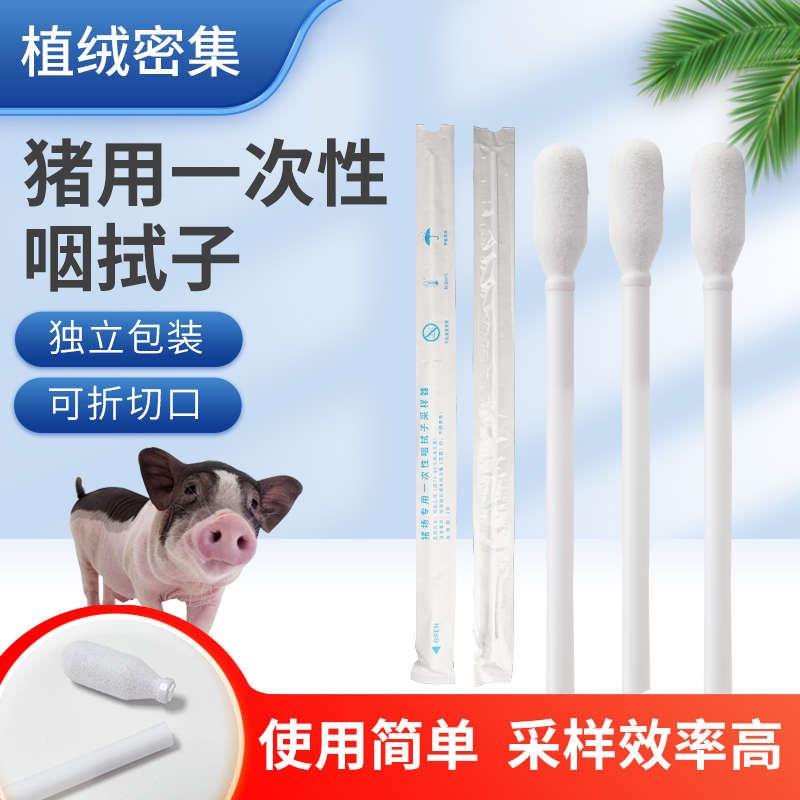 猪用一次性咽喉拭子采样器猪场专用咽拭子猪植绒咽拭子样品采样器