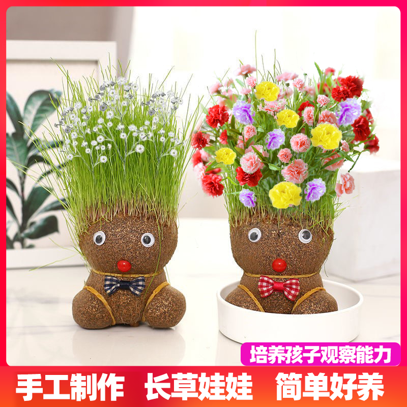 diy创意浇水就活阳台新手种植迷你长草植物幼儿园盆栽小摆件趣味