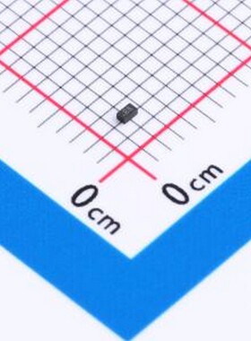 10只 P0402FC05C 静电和浪涌保护(TVS/ESD) P0402FC05C DFN1006