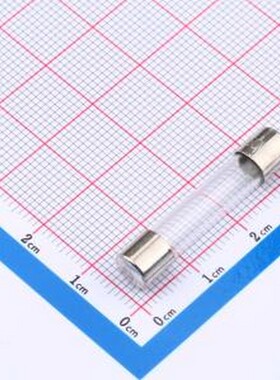 0312.100MXP 一次性保险丝 250V