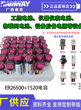 睿奕ER26500+RHC1520智能水表燃气表流量计2号环氧防水3.6V锂电池