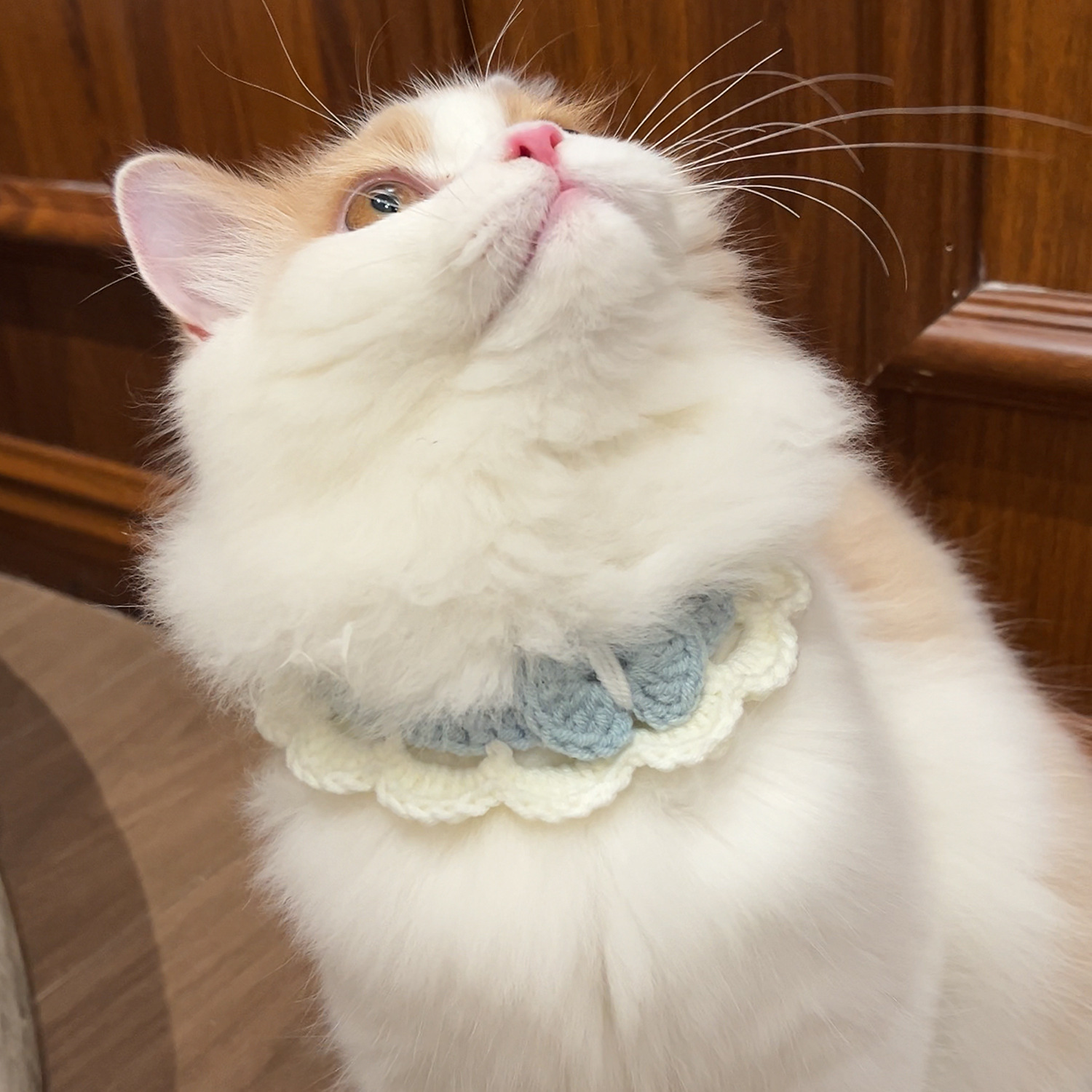 新疆西藏包邮猫咪可爱ins项圈手工钩织围脖小型犬猫咪兔子布偶猫