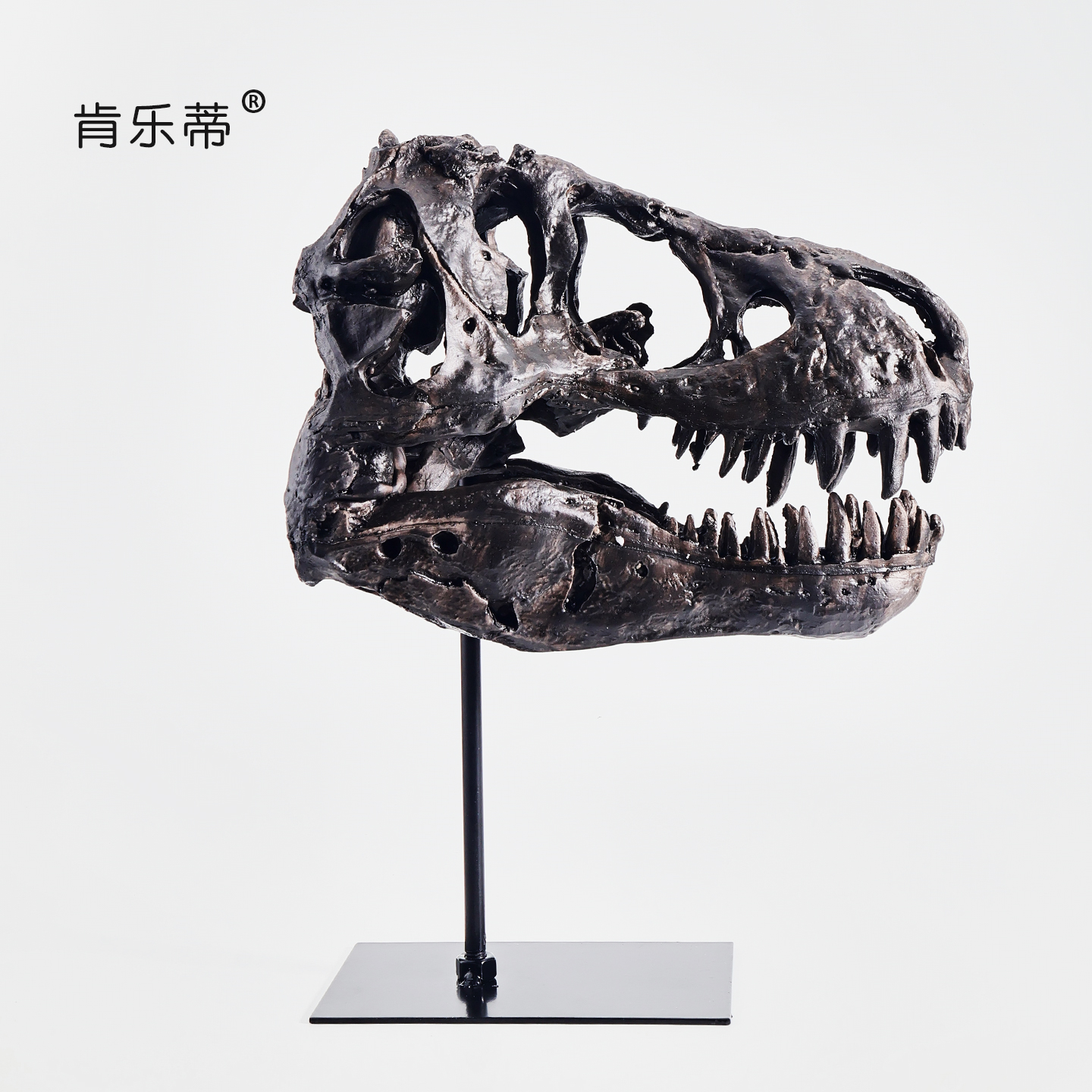 欢迎来到DinosaurPark！