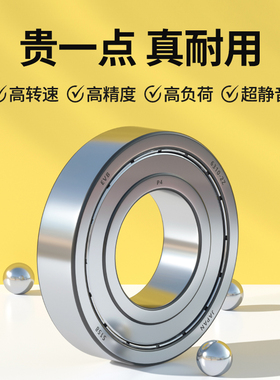 EVB日本进口高速轴承大全6301 6302 6303 6304 6305 6306ZZ RS/P2