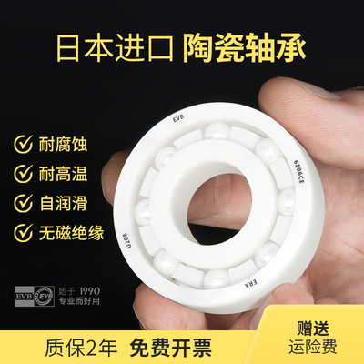 EVB水滴轮进口陶瓷轴承