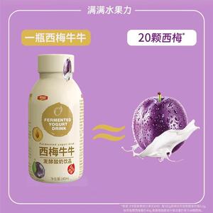 豪园西梅多多酸奶饮品220ml*10瓶整箱多种口味营养代餐早餐饮料