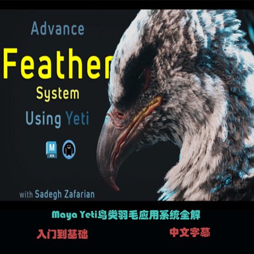 Maya Yeti鸟类羽毛应用系统全解 C-56