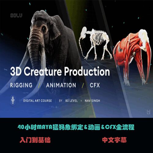 40小时MAYA猛犸象绑定&动画&CFX全流程 (更新中）C-58