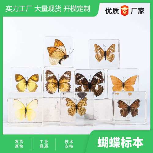 市集摊位景区热卖昆虫琥珀标本蝴蝶标本工艺品旅游纪念品创意摆件