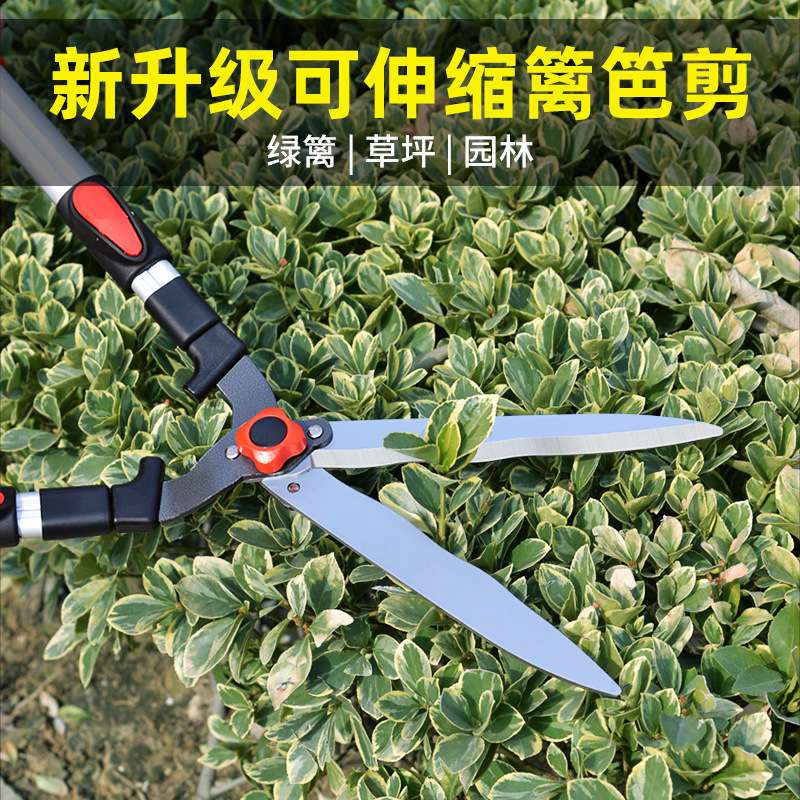 美科园艺剪刀修枝剪园林绿化剪带修剪专用剪子篱笆绿篱大草坪树枝图片