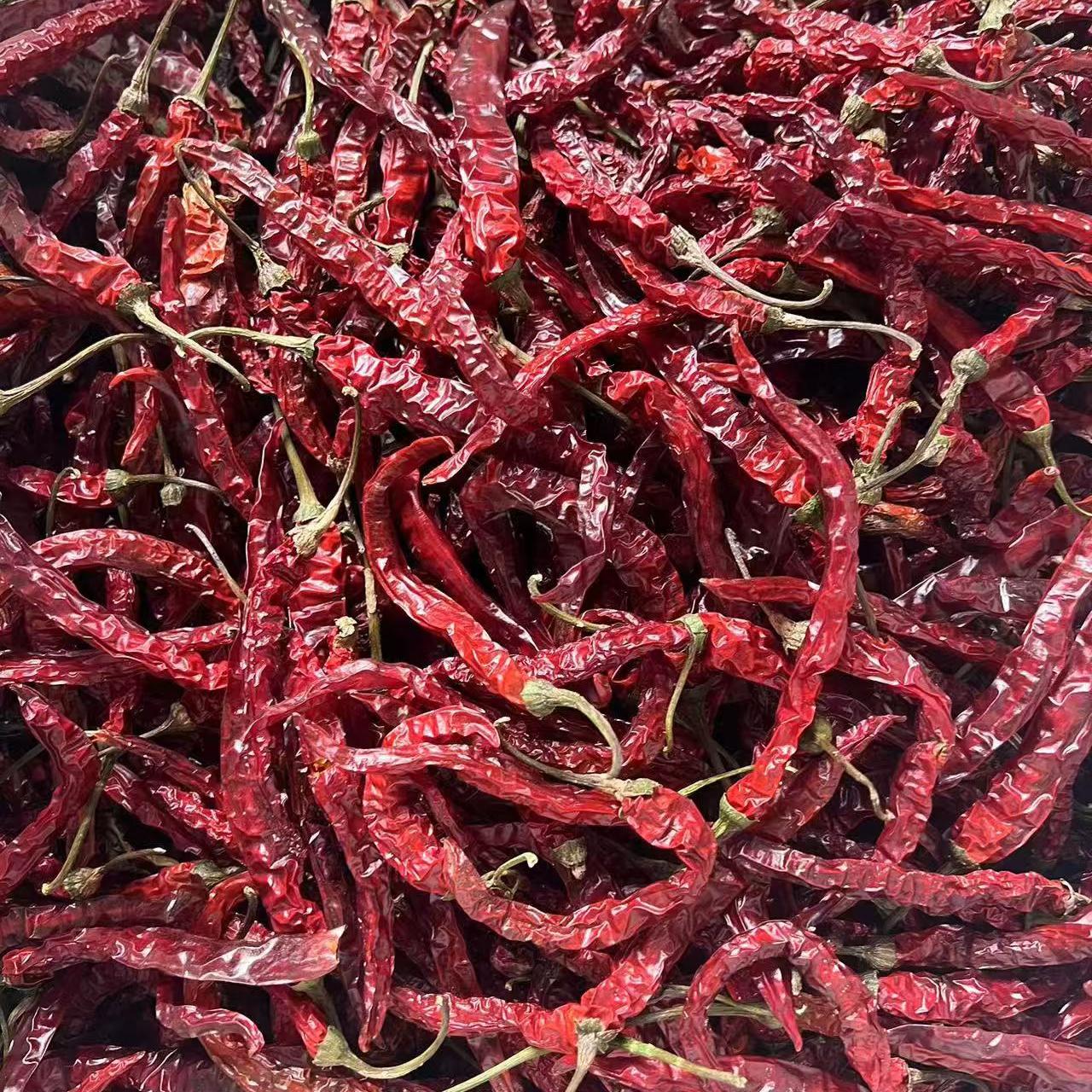 贵州特产干辣椒中辣特香