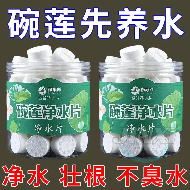 碗莲净水片【除臭祛味/净水养护