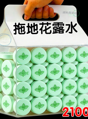 高浓缩强效拖地专用花露水泡腾片防蚊虫家用宿舍宾馆酒店防蚊虫