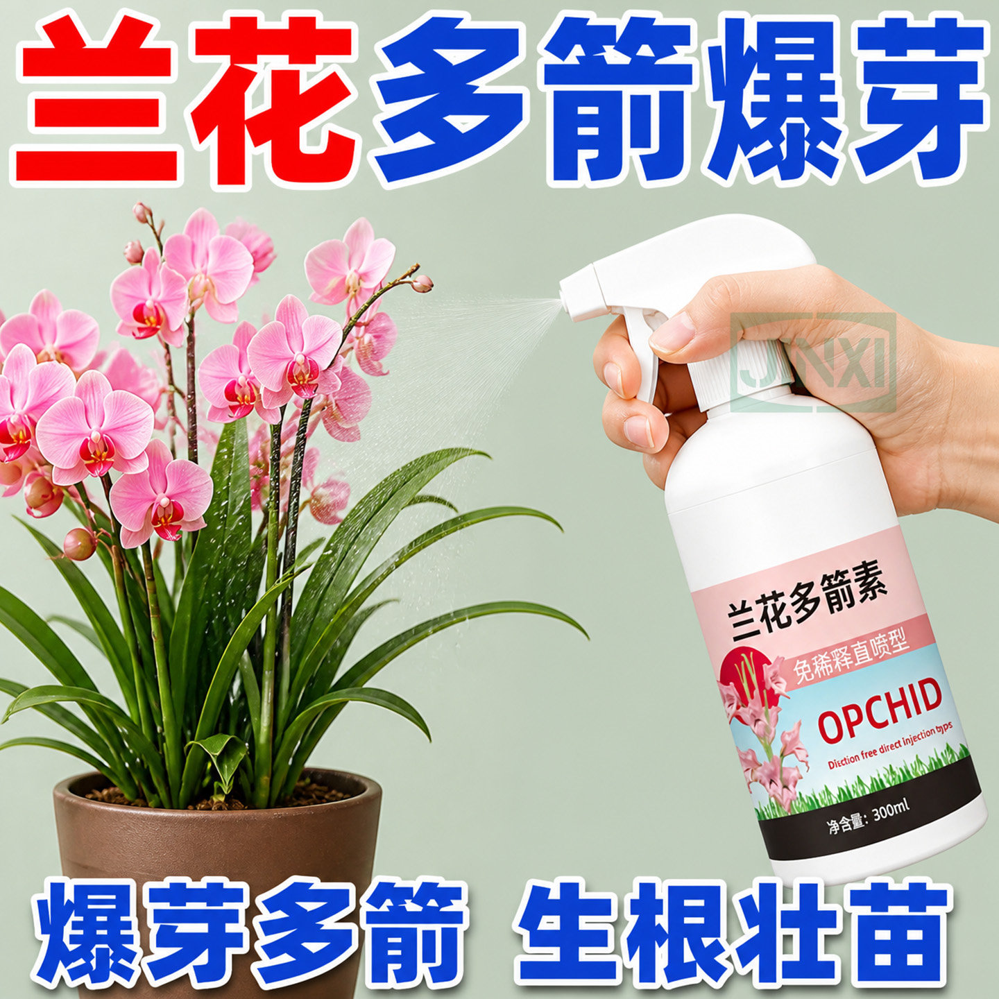 兰花多箭素爆芽素专用营养液蝴蝶兰多剑王兰灵王通用促开花肥料