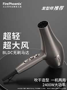 火之凤吹风机5610H风筒电吹风发型师专用风力速干造型发廊W大功率