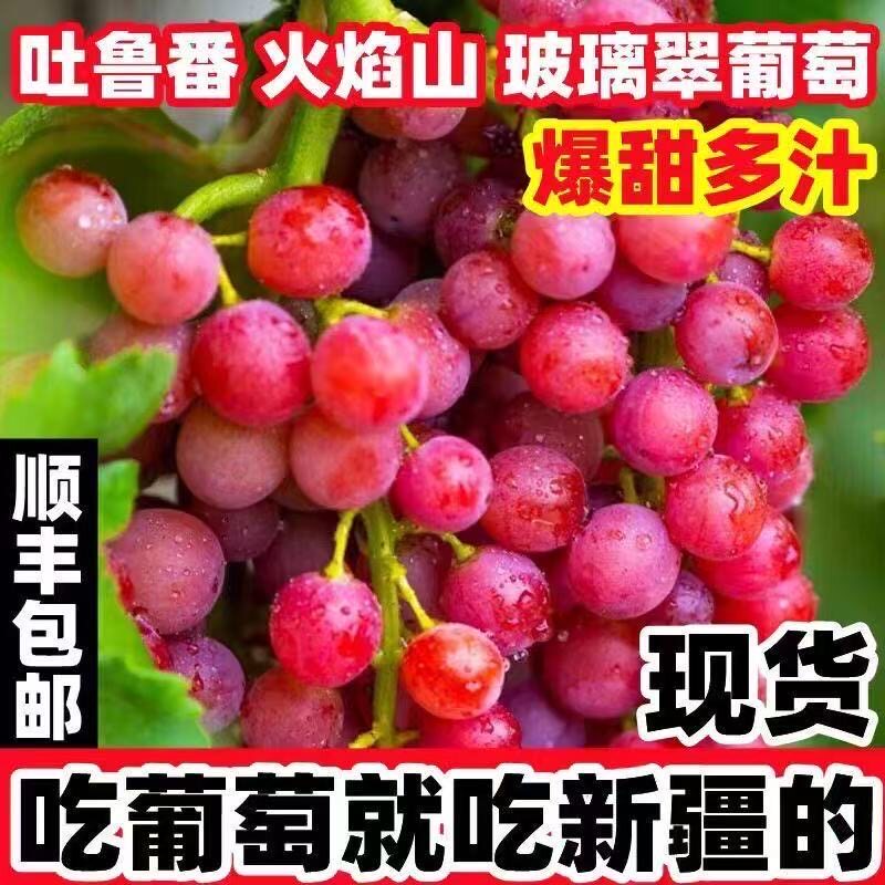 新疆[疆小提]火焰无核玻璃翠吐鲁番葡萄玻璃脆新鲜新疆葡萄酸甜玻