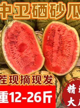宁夏中卫香山硒砂瓜12-30斤 头茬新鲜大西瓜压砂石头西瓜吃瓜水果