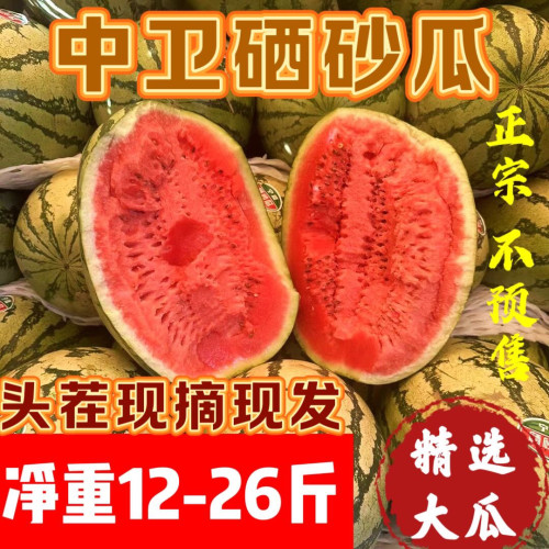 宁夏中卫香山硒砂瓜12-30斤 头茬新鲜大西瓜压砂石头西瓜吃瓜水果
