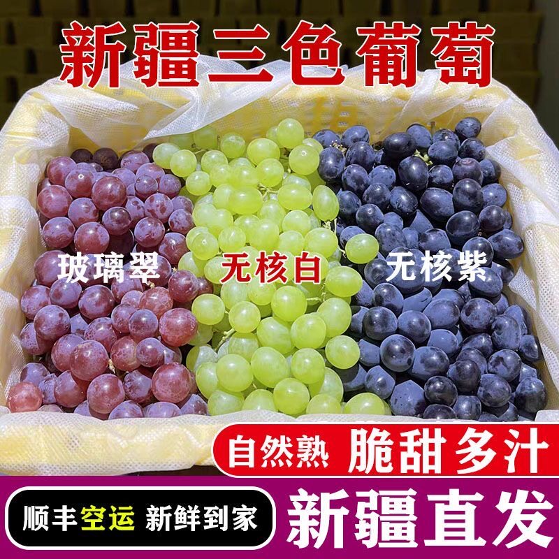 【顺丰空运】新疆吐鲁番三色葡萄当季新鲜水果孕妇水果新疆直发