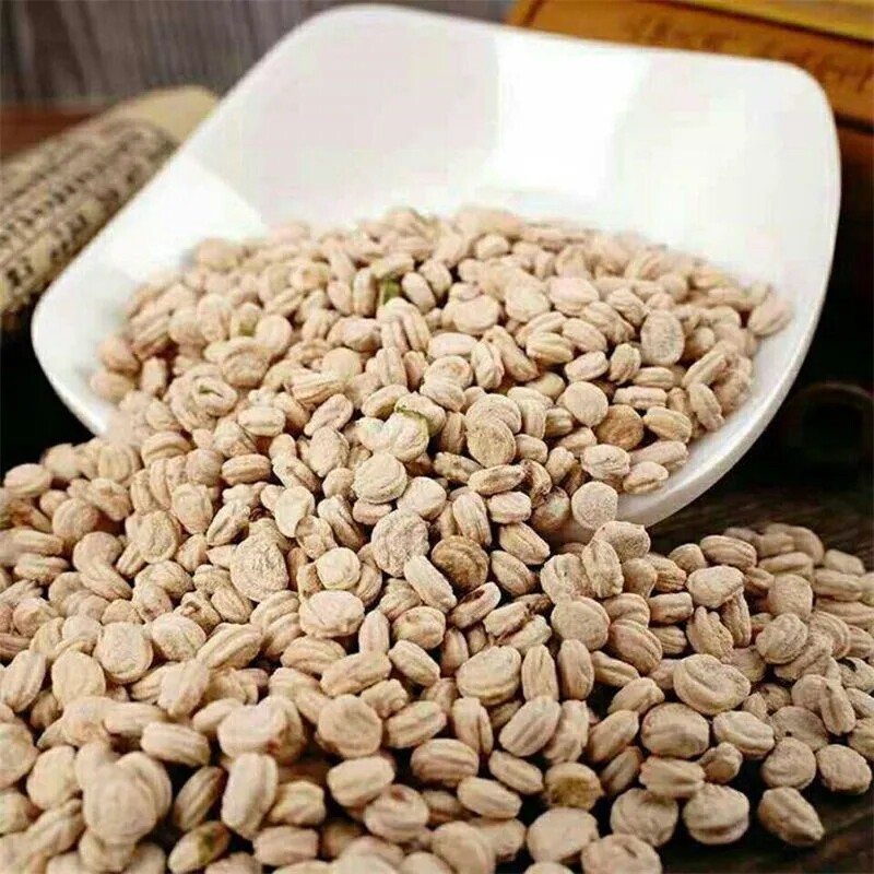 人参籽东北长白山人参种子人参籽干品白参种子可打粉食用煲汤泡酒