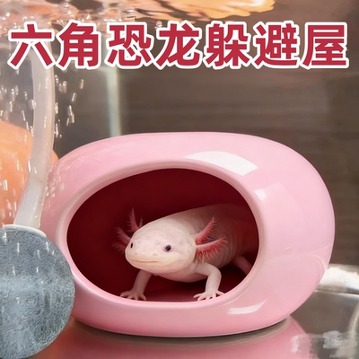 六角恐龙躲避屋鱼缸生态缸造景专用装饰巴西龟蝾螈休息繁殖躲避屋