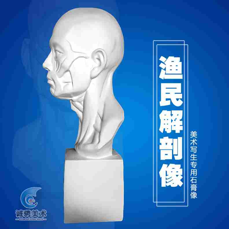 高档渔民石膏头像独眼龙人物像肌肉模型石膏教具人物解剖人物静物