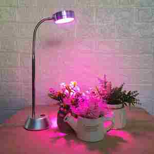 植物花卉台灯价格 植物花卉台灯图片 星期三