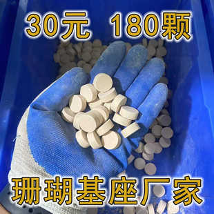 圆形珊瑚基座小号2.2厘米陶瓷透水高密度繁殖海水断枝硬骨纽扣