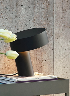 HAY SLANT台灯北欧简约马卡龙床头灯绿色装饰儿童房书房卧室客厅