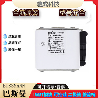 巴斯曼170M6599 170M5644 170M5645  低压保险丝诚信经营货源充足