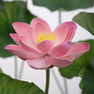 新款大荷花仿真花假花荷叶莲蓬花苞舞台舞蹈道具水池装饰佛堂供佛