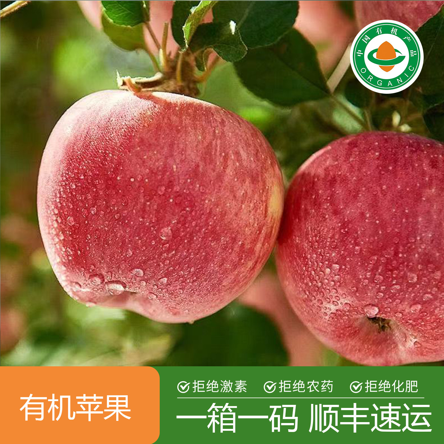 陕西红富士苹果自然熟不打蜡脆甜