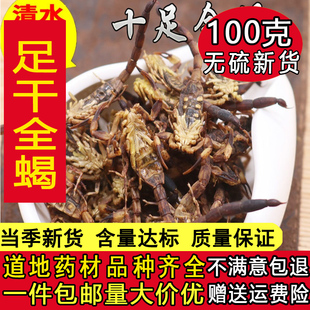 全蝎干中药材全虫100g包邮清水蝎子全干货无盐可磨粉另有水蛭蜈蚣