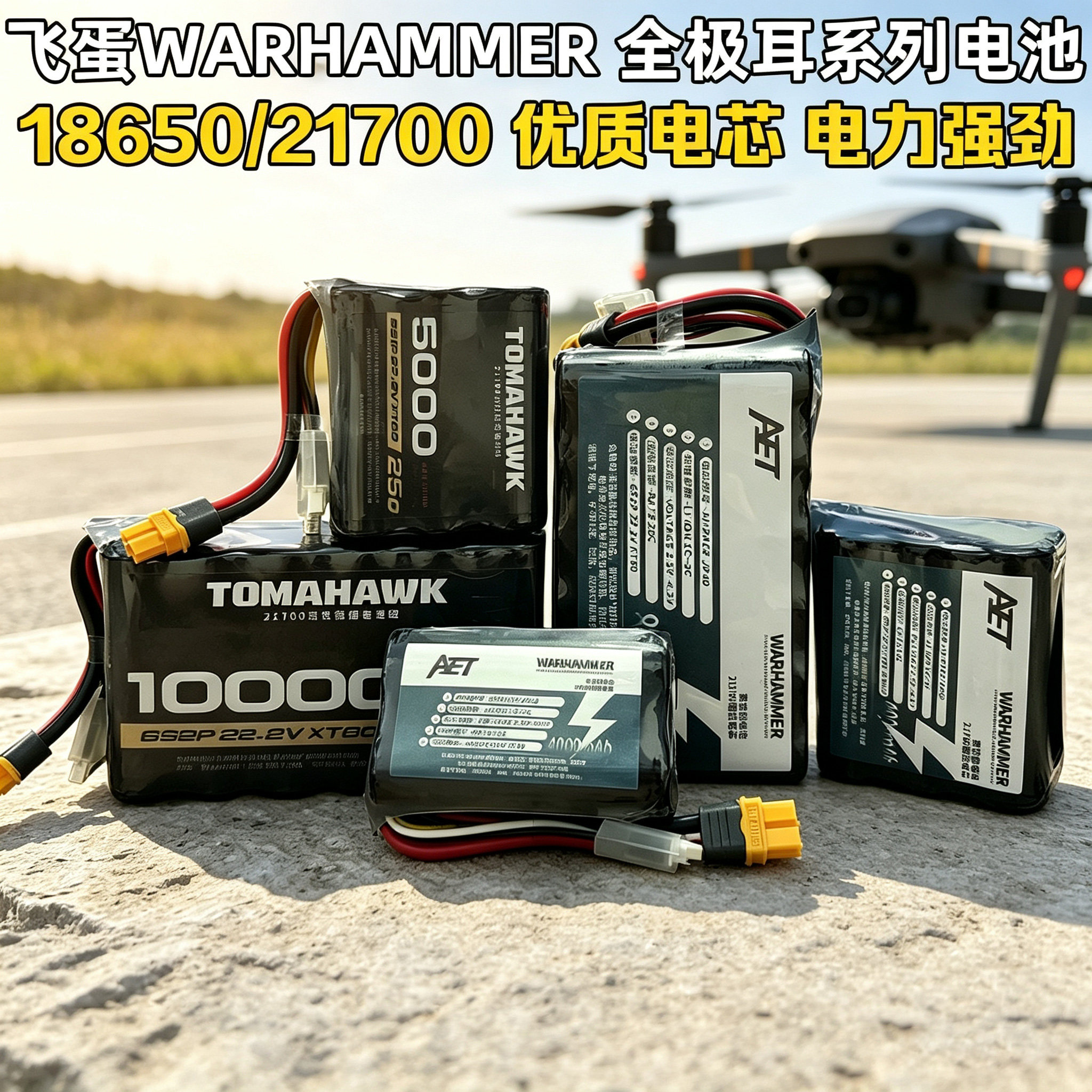 AET飞蛋电池4000-15000mah20/25C图片