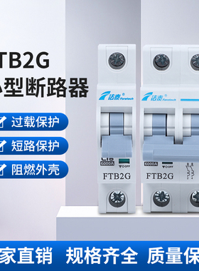 法泰电器FTB2G-D型断路器微断空气开关家用空开热水器断电保护器