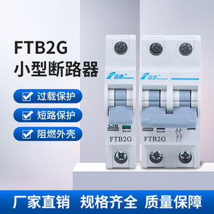 法泰FTB2G系列断路器欠压保护空开家用63A总闸保护器空开关断路器