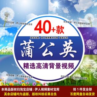 清新蒲公英背景视频致青春放飞梦想蒲公英背景视频LED背景视频